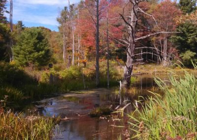 Vandermark Rd Woughter 400x284 - Town Gallery