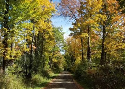 random road Woughter 400x284 - Town Gallery