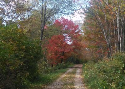 seasonal road Dailey 400x284 - Town Gallery