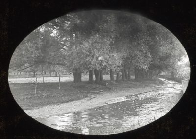 Fion MacCrea Canacadea Creek Alfred Station 400x284 - Town Gallery