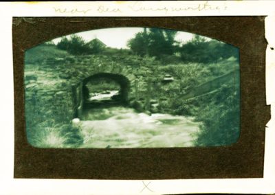 Fion MacCrea Dea Langworthys 400x284 - Town Gallery