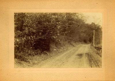 Fion MacCrea Road to Alfred 2 400x284 - Town Gallery